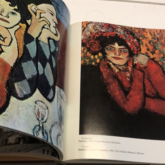 Understanding PICASSO - hardcover book by D. Porzio and M. Valse chi - Picture 10 of 14